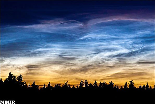 افزایش ابرهای شب تاب در آسمان/ تصویری از یک سکسکه خورشیدی