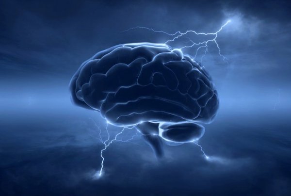 کنکاشی جدید در الفبای الکتریکی مغز